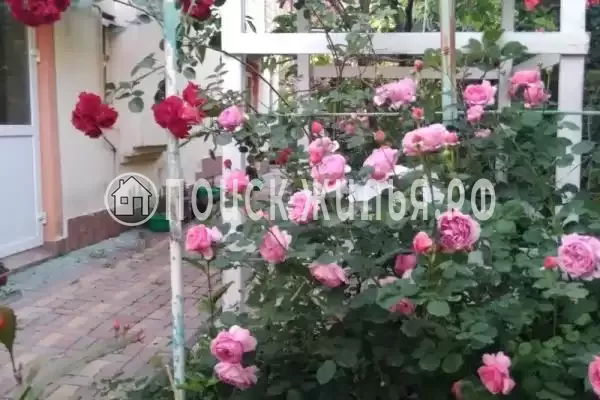 Частный сектор «Комната в частном доме Радость Юга» Частный сектор «Комната в частном доме Радость Юга»