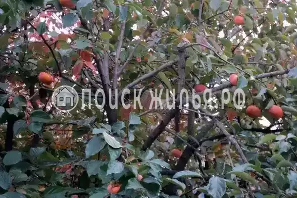 Частный сектор «Комната в частном доме Радость Юга» Частный сектор «Комната в частном доме Радость Юга»