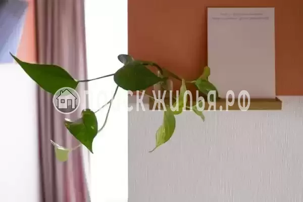 Апартаменты «Amarant»