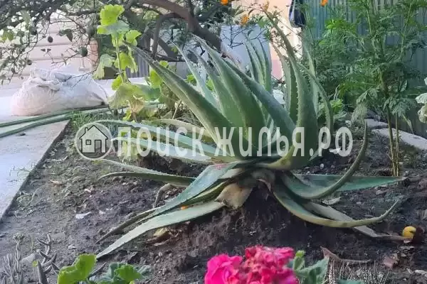 Дом под ключ, Морская переулок, д.18