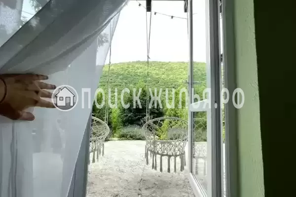 «Редкая птица» «Редкая птица»