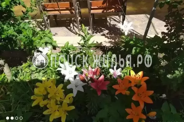 «Белая дача»