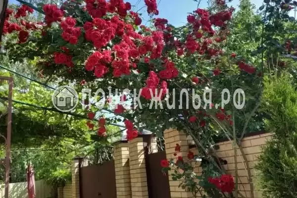 Частный сектор «Апартаменты на Молодежной»