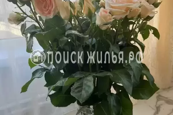 «На лесной» «На лесной»