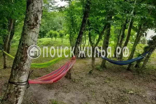 Частный сектор «Домик в лесу у моря» Частный сектор «Домик в лесу у моря»