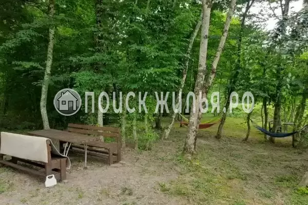 Частный сектор «Домик в лесу у моря» Частный сектор «Домик в лесу у моря»