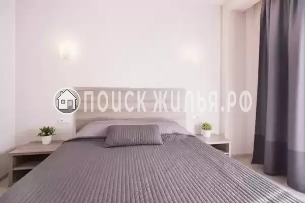 «Абрикос плюс»