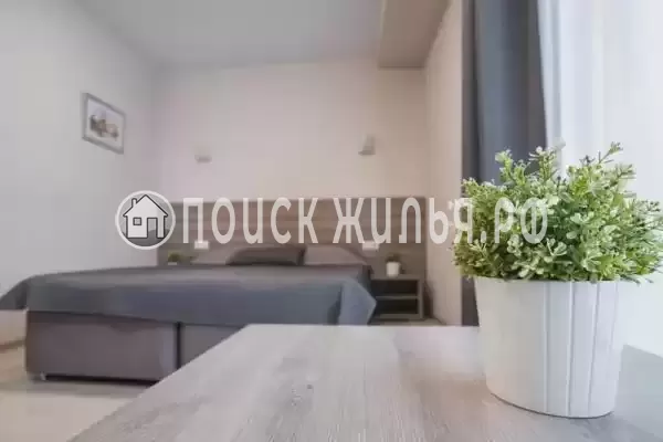 «Абрикос плюс»