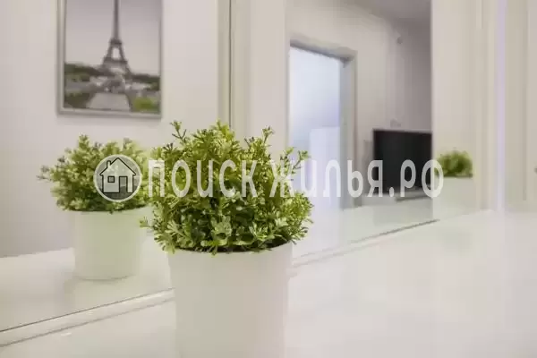 «Абрикос плюс»