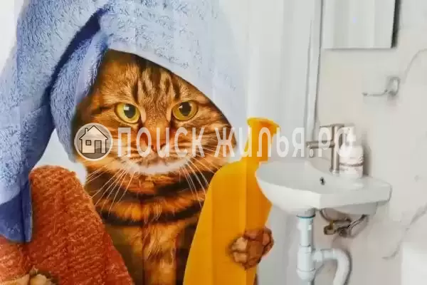 «У кристины» «У кристины»