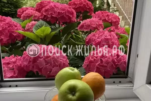 «Loo home&sea» «Loo home&sea»