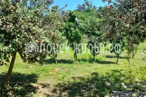 Дом под ключ «Колхида» Дом под ключ «Колхида»