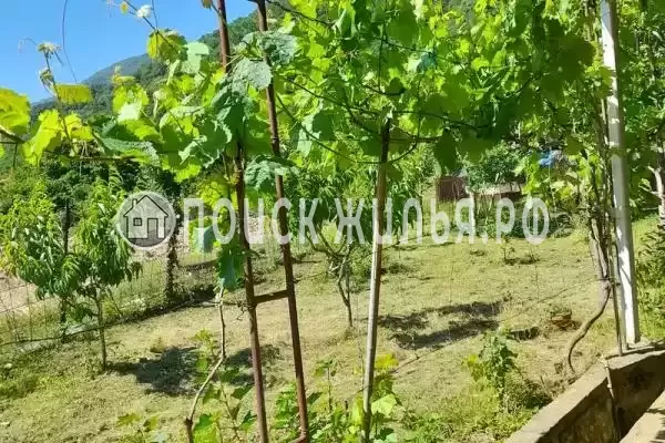 Дом под ключ «Колхида» Дом под ключ «Колхида»