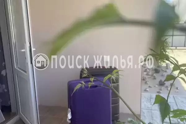 Частный сектор «Мандарин»
