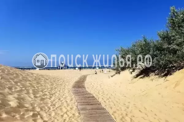 «Елизавета» «Елизавета»