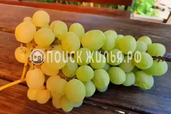 Частный сектор «Солнечный берег» Частный сектор «Солнечный берег»