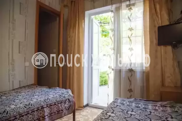 «Три березки»