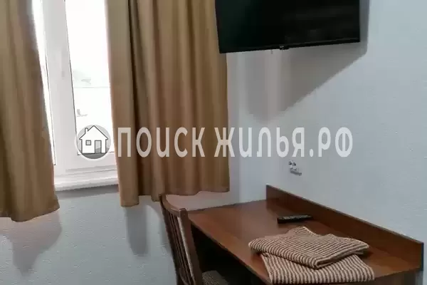 «Гербера» «Гербера»