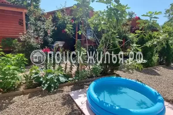 «Белые ночи»