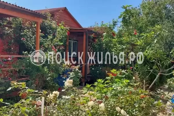 «Белые ночи»