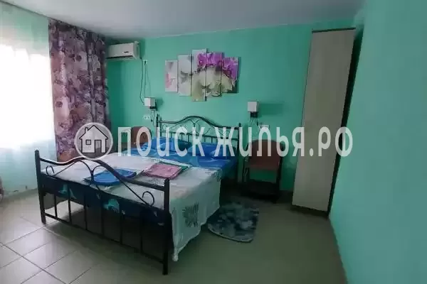 «Белые ночи»