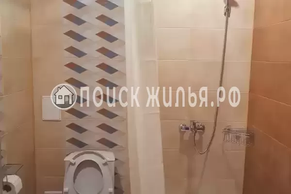 «Medusa» «Medusa»