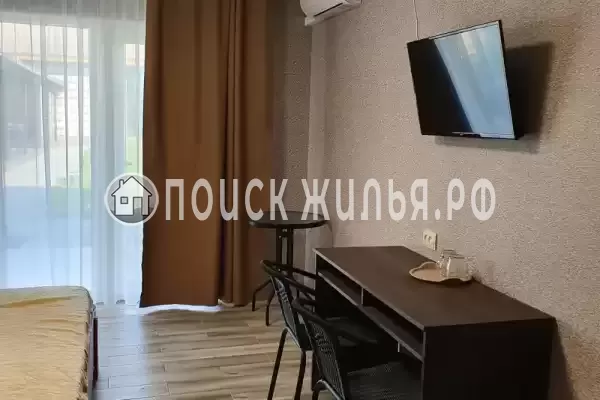 «Medusa» «Medusa»