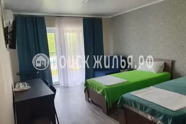 «Medusa» «Medusa»