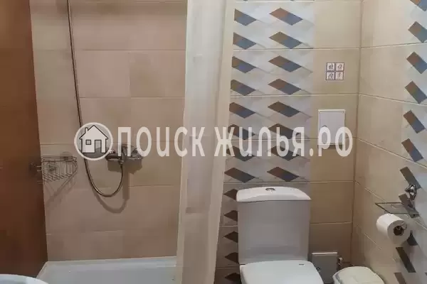 «Medusa» «Medusa»