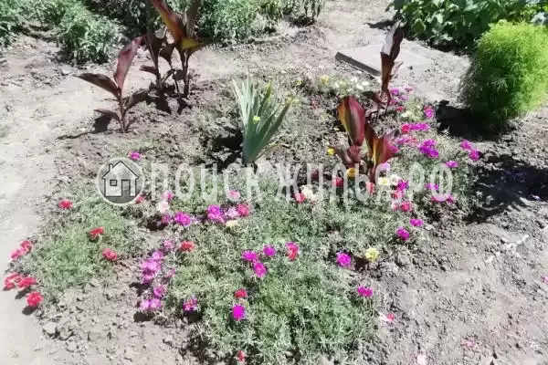 Дом под ключ, Кубанская, д.16