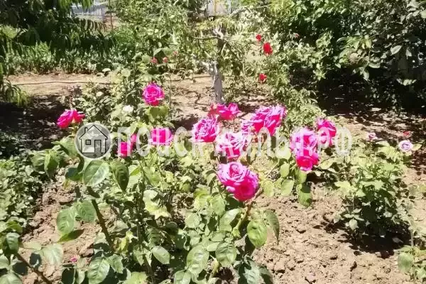 Дом под ключ, Кубанская, д.16