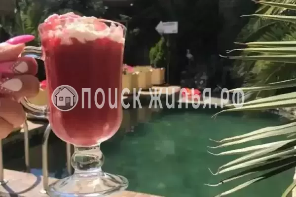 «Мадагаскар» «Мадагаскар»