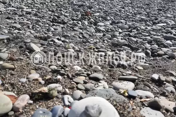 «Мадагаскар» «Мадагаскар»