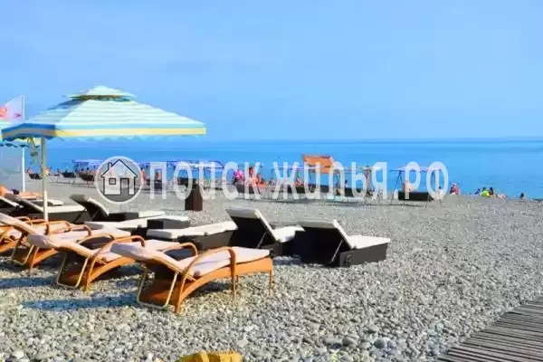 «Мадагаскар» «Мадагаскар»