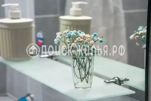 «Мадагаскар» «Мадагаскар»