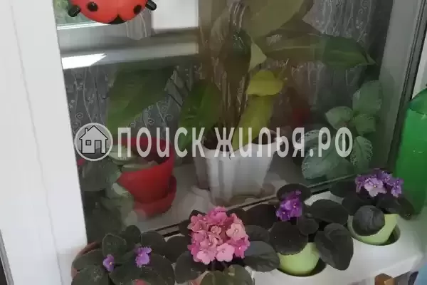 Квартира «На Кошевого»