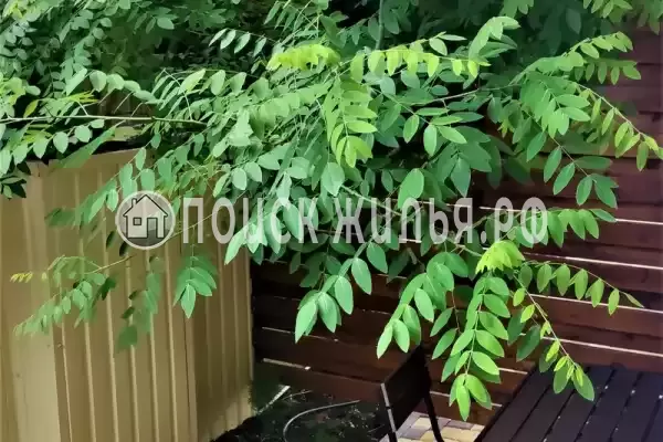 «Шампань» «Шампань»