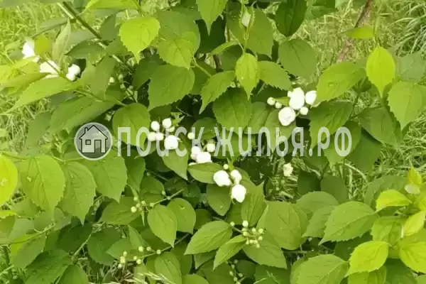 Квартира, Победы, д.110