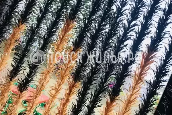 Частный сектор «Дом у моря Марина»