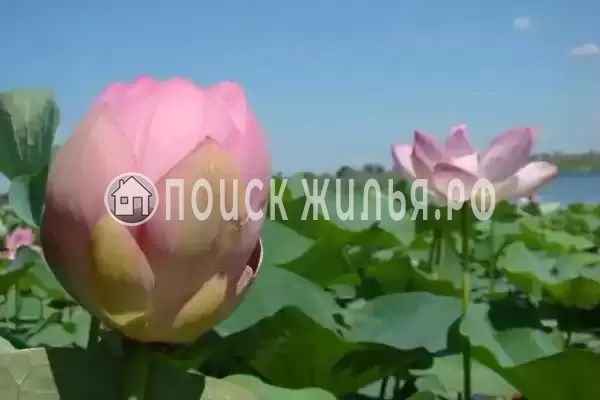 Дом под ключ «Азовские дачи» Дом под ключ «Азовские дачи»