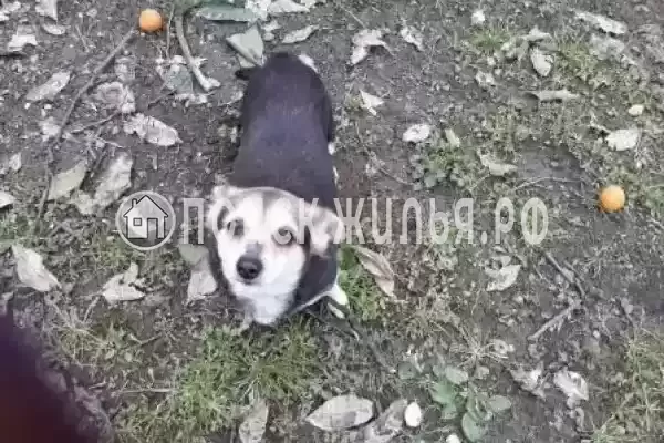 Дом под ключ «Рядом с морем»