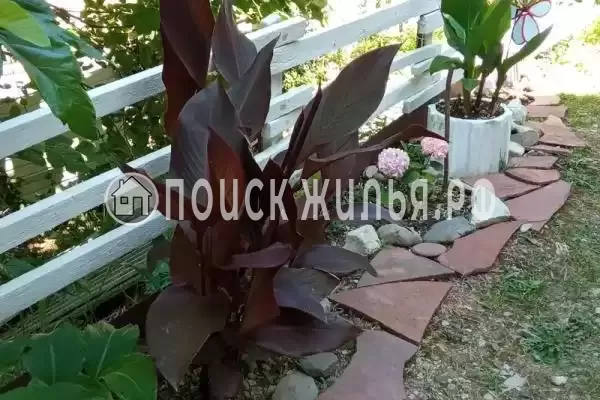 Дом под ключ, Есенина, д.5Б