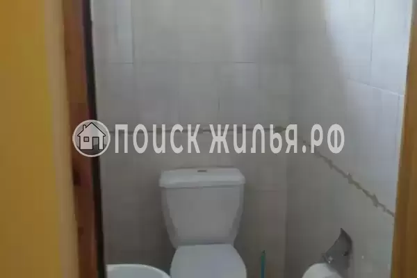 «Фруктовый сад» «Фруктовый сад»