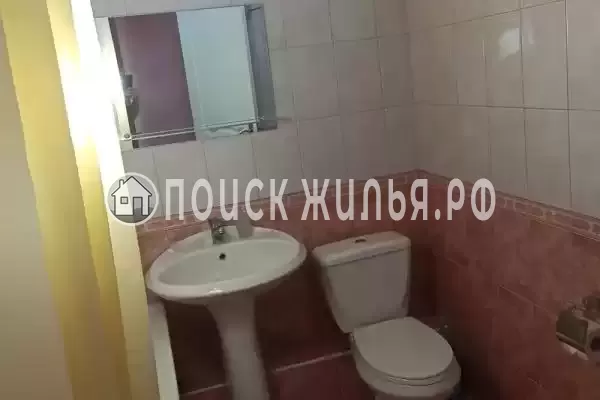 «Фруктовый сад» «Фруктовый сад»