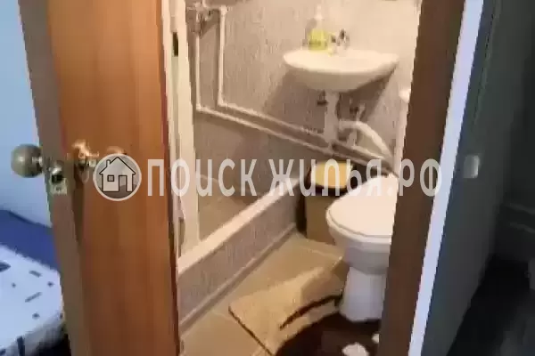 «Лесная сказка»