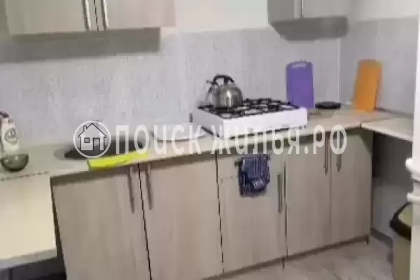 «Лесная сказка»