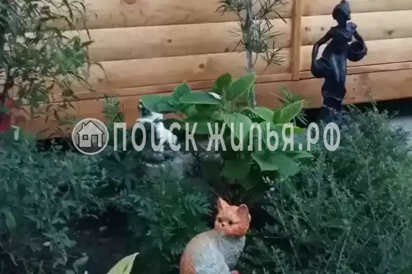 Частный сектор «Надежда» Частный сектор «Надежда»