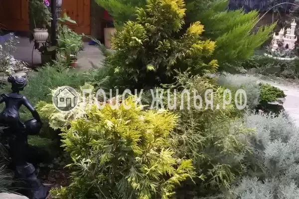 Частный сектор «Надежда» Частный сектор «Надежда»