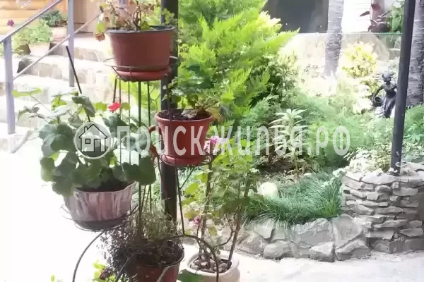 Частный сектор «Надежда» Частный сектор «Надежда»