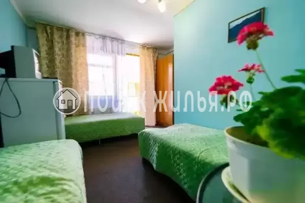 «Мишель» «Мишель»